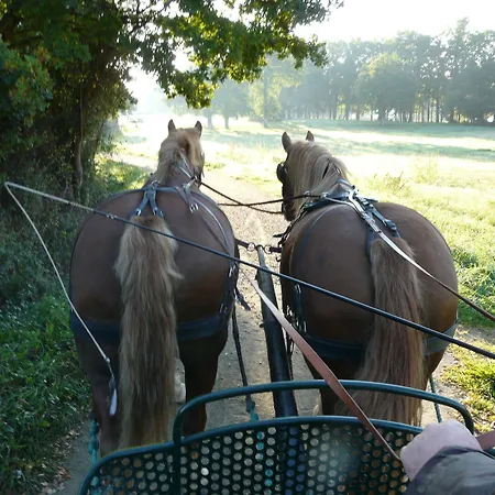 D'hotes Le Pot Au Lait Villaines-la-Juhel