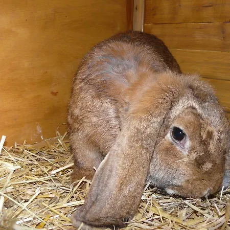 D'hotes Le Pot Au Lait 3*