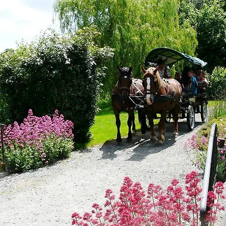 D'hôtes Le Pot Au Lait Villaines-la-Juhel