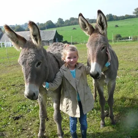 D'hotes Le Pot Au Lait Nocleg ze śniadaniem Villaines-la-Juhel