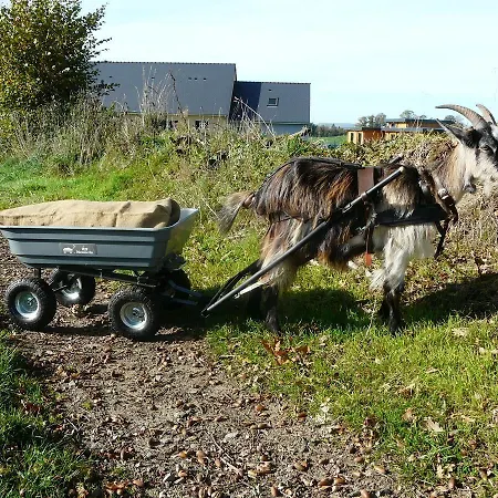 Nocleg ze śniadaniem D'hotes Le Pot Au Lait Villaines-la-Juhel