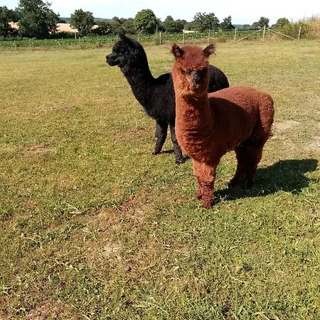 D'hotes Le Pot Au Lait Nocleg ze śniadaniem Villaines-la-Juhel